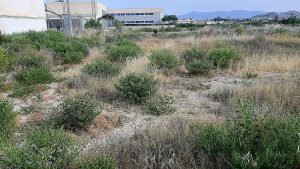 Terrenos sobre los que se construirá el futuro pabellón polideportivo de Antas