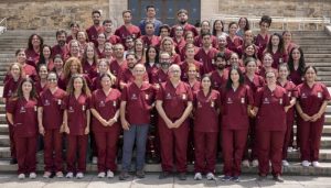 Veterinarios fisioterapia