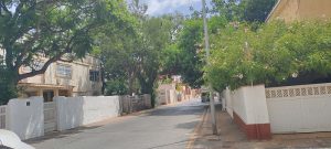 Calle tapada por ramas de árboles en Ciudad Jardín