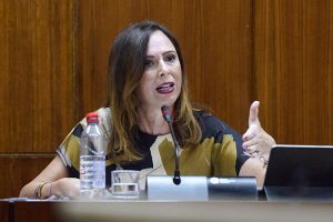 Comisión Fomento consejera Rocío Díaz (1)