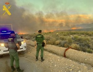 Guardia Civil ha intervenido en 15 incendios forestales 5