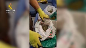 Guardia Civil  plantación de marihuana oculta en el bajo de una vivienda en Nacimiento 6 (1)