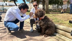 Huercal de Almeria ADN Canino 02 (1)