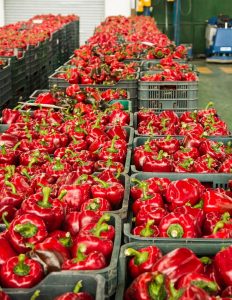 Pimientos rojos
