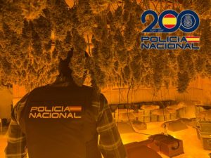 Policia Nacional cultivo Ejido