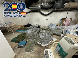 Policía Nacional en Almería desmantela una plantación 3