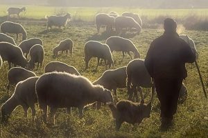 Unión de Uniones alerta de la caída de precio