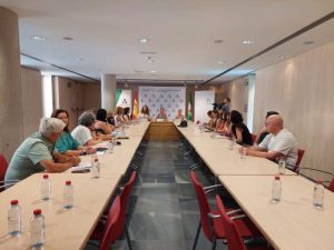 proyecto piloto del facilitador