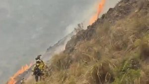 Incendio en Lubrin