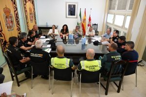 Junta Local Seguridad Dreambeach (4)