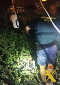 La Guardia Civil Neutraliza tres importantes centros de producción indoor de marihuana