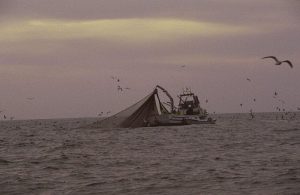 Pesca de cerco