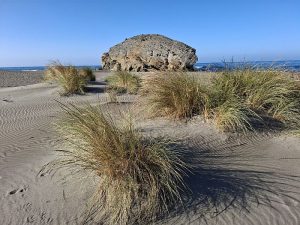 Playa Mónsul