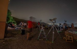 noche de estrellas dalias 02
