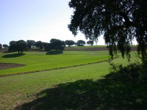 Agricultura ecológica