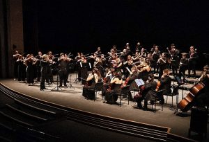 Cultura-Orquesta FIMA (1)