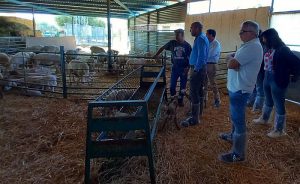 Ganaderia Visita explotación lengua azul