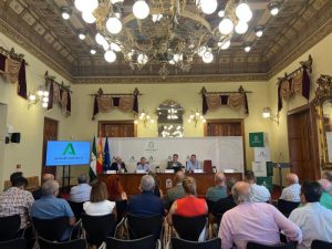 MESA DEL AGUA DE ALMERÍA 3