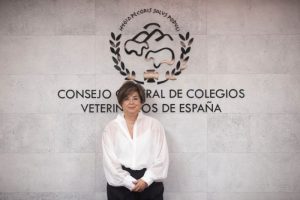 Yasmina OCV1