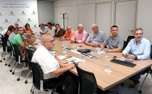 aforo cítricos Andalucía 2025-2026