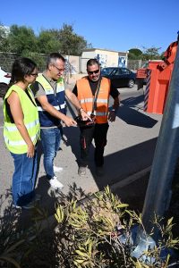 renovación del alumbrado del Paseo de El Toyooo