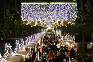 Archivo mercado navideño (1)