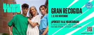 Banco de Alimentos Voluntarios Gran Recogida