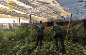 Guardia Civil Desmantelado en El Ejido un centro de producción de marihuana