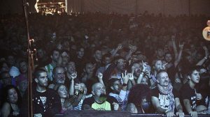 Larga vida al Rock Albox6