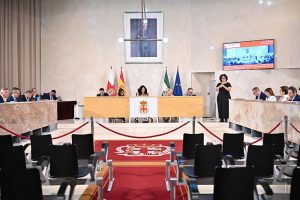 PLENO OCTUBRE (65)