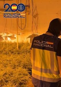 Policía Nacional desmantela en El Ejido un complejo narco  (10)