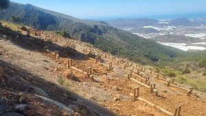 Restauración de terrenos mineros en Berja (paraje El Segundo)