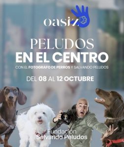 Salvando peludos cartel perros
