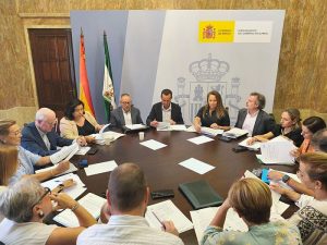 Subdelegado del Gobierno en Andalucia Comisión PFEA