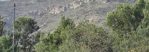 último vertedero de Andalucía en Torremolinos