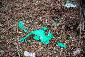 1m2 montes 2025 LIBERA