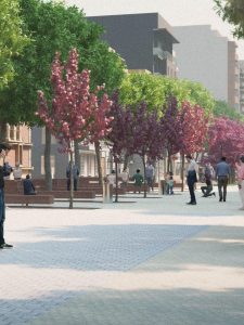 Almeria  retraso del Paseo y nuevas fechas