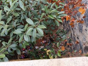 AndaluciaxSi Huelva basura entre arbustos