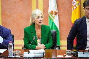 Comision Presupuestos Andalucia Patricia Pozo consejeria Deportes y Cultura