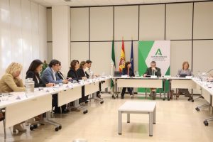 Comisión de Seguimiento de la Asociación Española Contra el Cáncer
