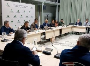 Consejo Andaluz del Olivar 2