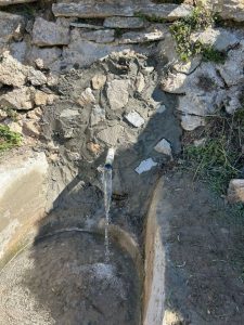 El Ayuntamiento de Dalías impulsa trabajos de mantenimiento 3