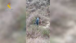 Guardia Civil delitos contra los recursos naturales y medio ambiente en Antas 3