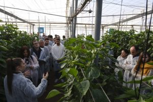 Jornada AGROTEST Almeriìa 2025 (1)