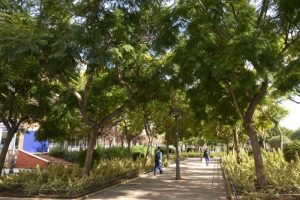 PLAN ARBOLADO parque san luis002