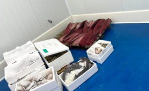decomisos Mercasevilla 1