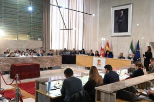 ALMERÍA PLENO OFICINA ATENCIÓN ANTIOCUPACIÓN Pleno 15 diciembre 2025 (18)