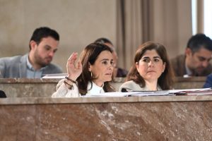 ALMERÍA PLENO ORDENANZA MOVILIDAD URBANA Y PATINETESS