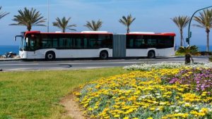 Almeria BUS ARTICULADO