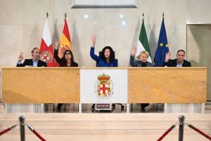 Almeria Pleno 15 diciembre 2025 (2)